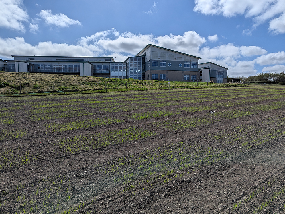 A field with UHI Orkney campus in the background