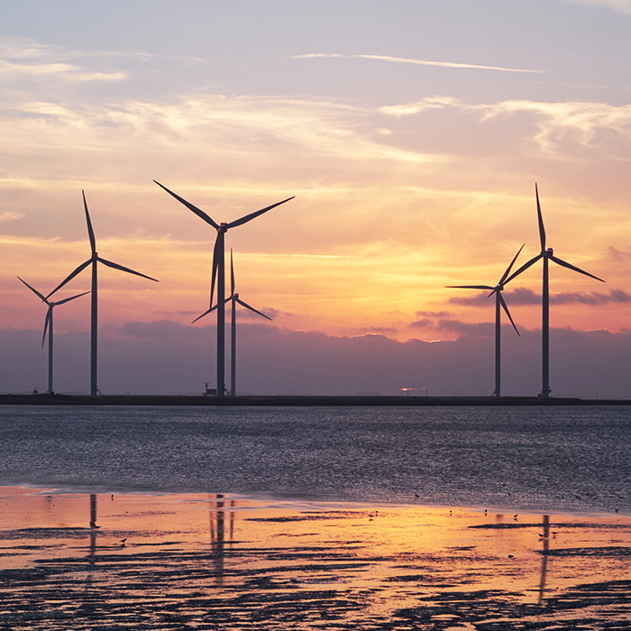 Offshore wind farm